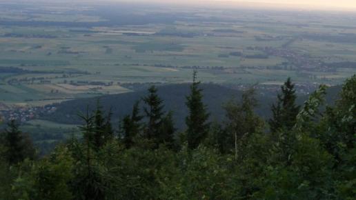 , Krzysztof
