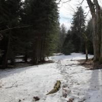 , Mariusz G