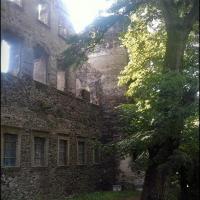 , Dominik Dobros