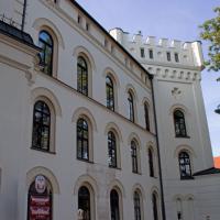 Stary Zamek w Żywcu