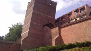 Krzywa Wieża w Toruniu - zdjęcie