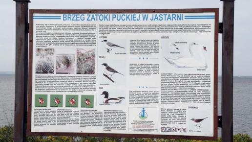 , Zbyszek Mat