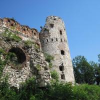 ruiny zamku w Rudnie, Roman Świątkowski