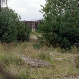 …. pozostałości budowy Elektrowni Jądrowej Żarnowiec, Zbyszek Mat