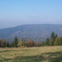 , Paweł Gąsiorek