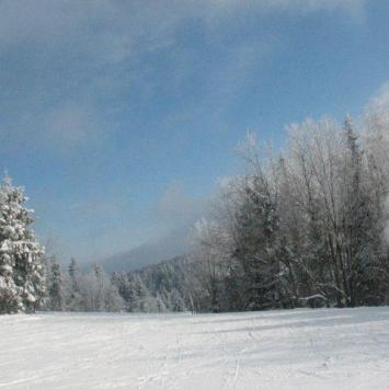 Ferie zimowe Ski Arena Szrenica Harahov - zdjęcie