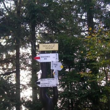 , Paweł Gąsiorek