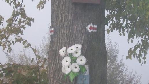 , Paweł Gąsiorek
