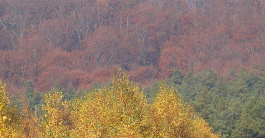 Jesienny wypad przez Dębowiec, Choroń, Biskupice, Olsztyn, Kusięta - zdjęcie