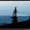 Widok na Namestowskie jezioro, Vincci