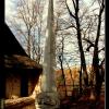 obelisk na grzbiecie słonia w tle domki modlitwy., Vincci