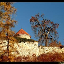 Pieskowa Skała-zamek, Vincci