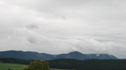 , Danuta