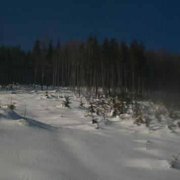 , Paweł Gąsiorek