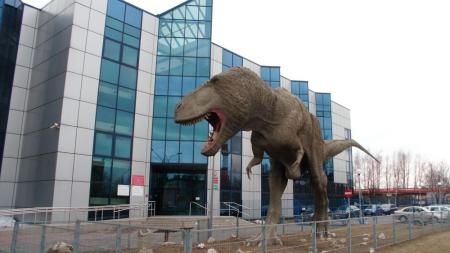 Muzeum Nauk o Ziemi i Dinozaur w Sosnowcu - zdjęcie
