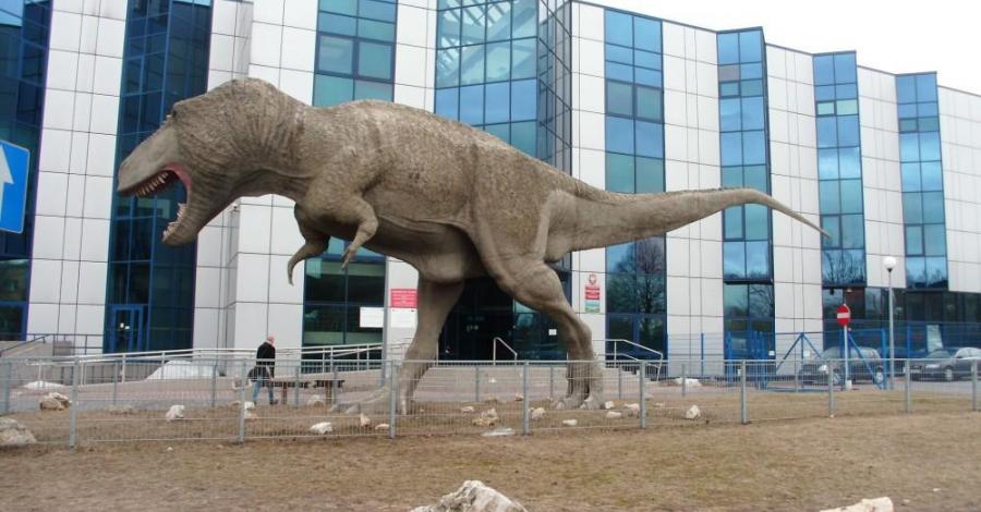 Dinozaury w Sosnowcu – Muzeum Wydziału Nauk o Ziemi UŚ - zdjęcie