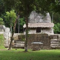 Ruiny Tikal, Tadeusz Walkowicz
