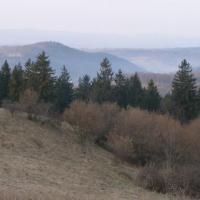 , Krzysztof