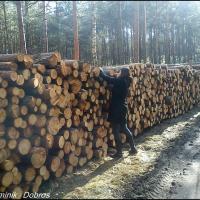 , Dominik Dobros