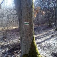 , Dominik Dobros