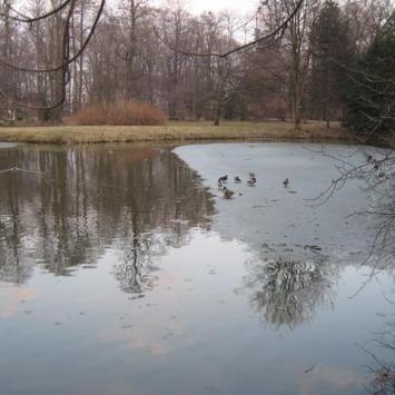 Pszczyna, Danuta