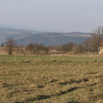 , Krzysztof
