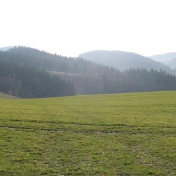 , Krzysztof