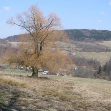 , Krzysztof