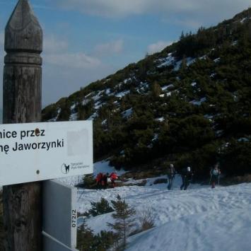 , Paweł Gąsiorek