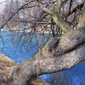 Park Śląskie Chorzów
