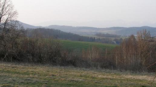 , Krzysztof