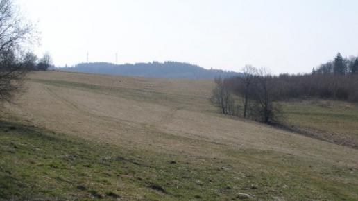 , Krzysztof