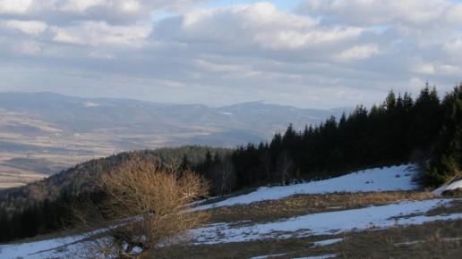 , Krzysztof