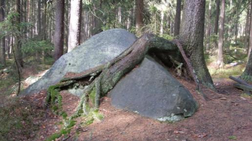 , Krzysztof