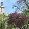 Szlakiem Kwitnącej Magnolii, Danuta