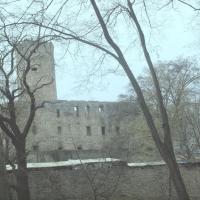  Ruiny Zamku Lipowiec , Tadeusz Walkowicz