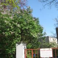 , Danuta