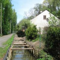 Cieszyńska Wenecja, Danuta