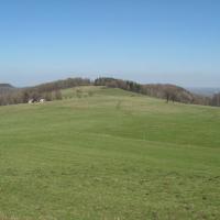 wspaniałe łąki, przypominające ogrody, to raj dla owadów, Danuta