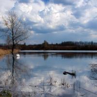Żabie Doły w Bytomiu