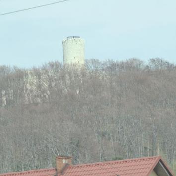 Ruiny Zamku Lipowiec , Tadeusz Walkowicz