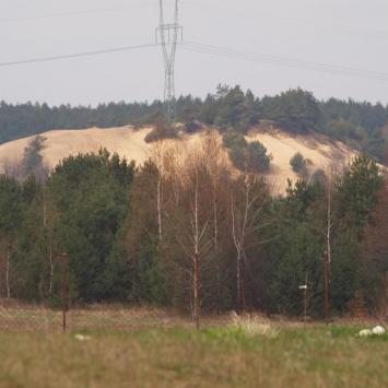 Pustynia Siedlecka, Tadeusz Walkowicz