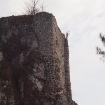 Strażnica Przewodziszowice, Tadeusz Walkowicz