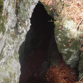 Jaskinia na Dupce w Siedlcu, Tadeusz Walkowicz