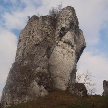 Strażnica Przewodziszowice, Tadeusz Walkowicz