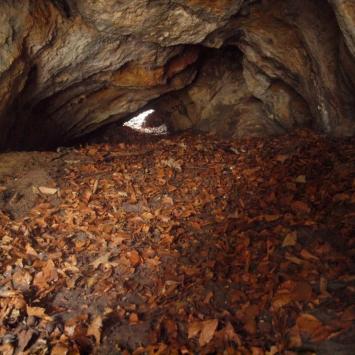 Jaskinia pod zamkiem, Tadeusz Walkowicz