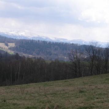 , Krzysztof