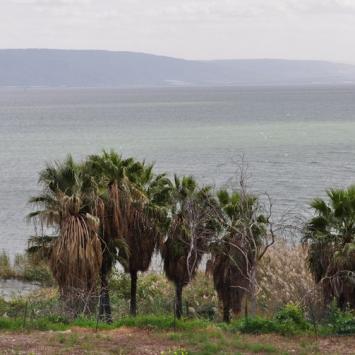 Jezioro Galilejskie., Edyta G.