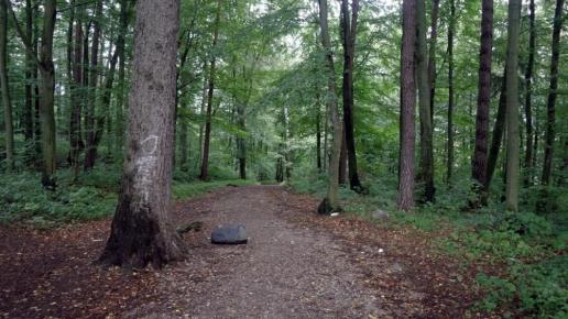Wejherowo - Kalwaria Wejherowska zwana Kaszubską Jerozolimą, Zbyszek Mat