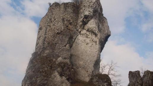 Strażnica Przewodziszowice, Tadeusz Walkowicz